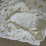 coussin fourrure