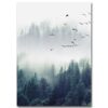 affiche nature et oiseaux